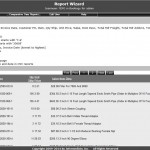 BI WebQuery Report